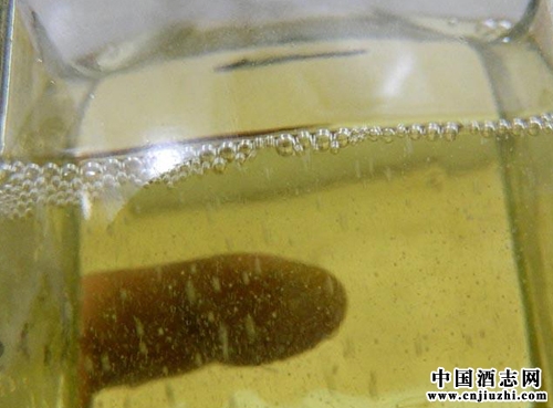 ȫ�d�G�������ƵĚvʷ